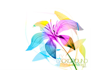 Fototapeta na wymiar Lily flowers scene vector abstract art nature on a white background