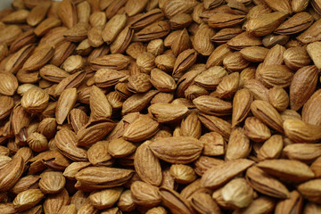nuts in abundance on the counter