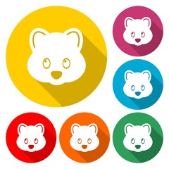 Bear head icon - vector Illustration