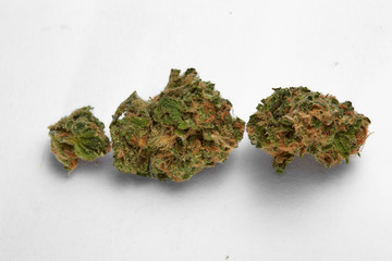 Close up of Blue Dream medical marijuana bud