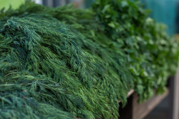 bunches of dill and parsley on the counter on sale