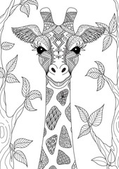 Obraz premium Line art design of giraffe for adult coloring book page and design element. Stock Vector