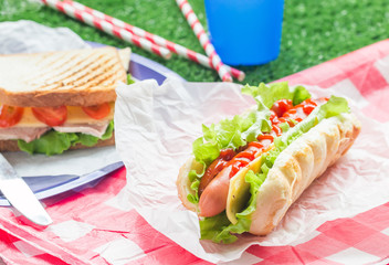 Hotdog with big sausage and fresh lettuce