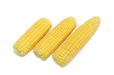 Ears of the young corn on the cob