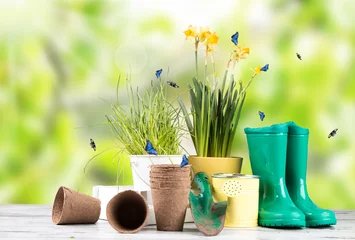 Foto op Aluminium Garden tolls and spring seedling isolated on white background. Rubber, narcis and tulips. © verca