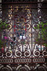 Fototapeta na wymiar Ornamental classical forged gates