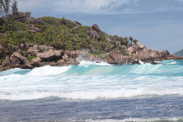 Océan, Mer,Vagues, Roches, Végétations