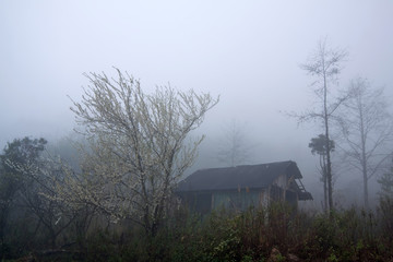 Sapa in the mist (Lao Cai, Vietnam)