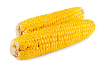 Corncob or corn isolated on white background