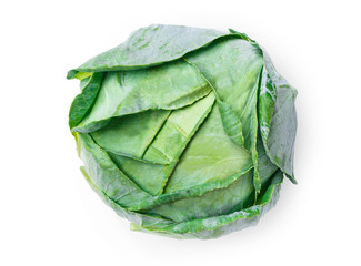 One ripe fresh green cabbage isolated on white background