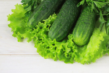 Raw vegetables and herbs: lettuce,, cucumber, chinese cabbage ... Concept healthy food