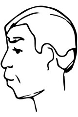 vector sketch of the face of an adult male