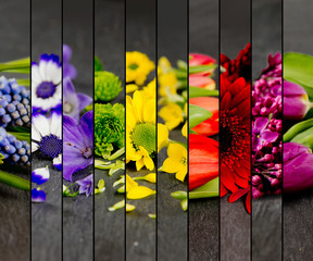 Colorful Bloom Mix