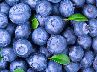 Ripe Blueberry background