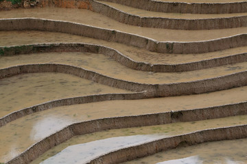 Terraced rice fields in Vietnam