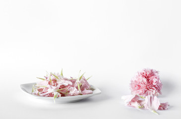 Flowers on white background. Flat lay, top view