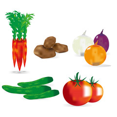 Group vegetables carrots, potatoes, onions, cucumbers, tomatoes