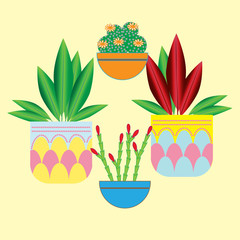 Illustration of potted plants from the class of succulents on a light background in flat style.