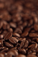Roasted coffee beans close-up with blur vertical shot as background.