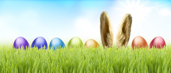 Ostereier und Osterhase im Gras