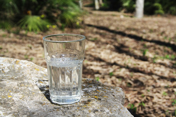 a glass of water in nature