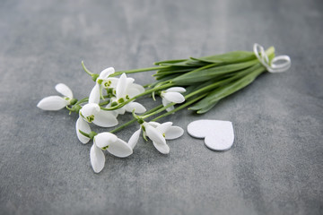 Bouquet of snowdrops on gray stone  background with copy space for message. First spring flowers. Greeting card for Valentine's Day, Woman's Day and Mother's Day holidays. Soft focus