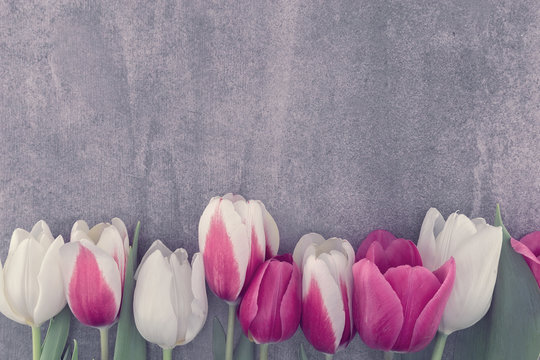 Frame of tulips onstone background with copy space for message. Spring flowers. Greeting card for Valentine's Day, Woman's Day and Mother's Day. Top view
