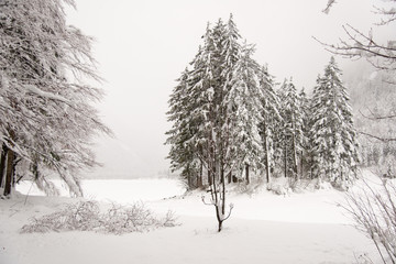 Snowfall on the frozen lake