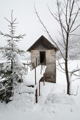 Snowfall on the frozen lake
