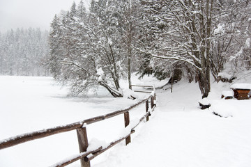 On the frozen lake during a snowfall. Fusine, Udine