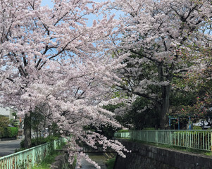 Spring Is In The Air.