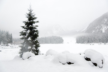 On the frozen lake during a snowfall. Fusine, Udine