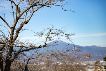 湘南平から眺める大山
