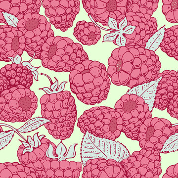 vector raspberry seamless pattern. background, pattern, fabric design, wrapping paper, cover. Vintage hand drawn illustration
