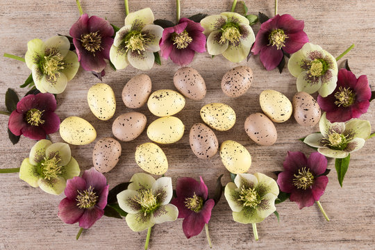Easter concept. Spring flowers creative arrangement on rustic light brown background