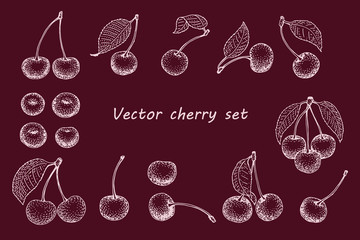 vector cherry set. Can be use for background, packaging, design, invitation, banner, cover. Vintage hand drawn illustrations