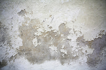 Old destroyed wall.