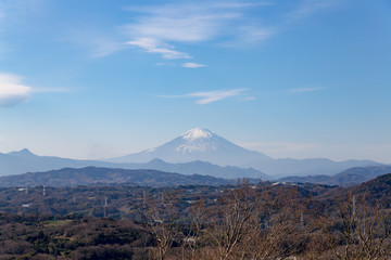 湘南平から眺める富士山