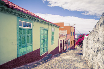 Colorfu street with flowers