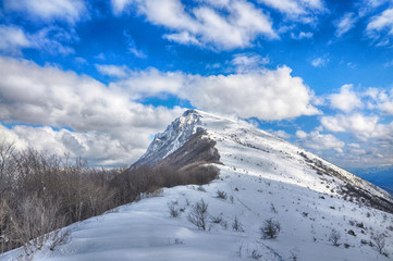 Fototapeta na wymiar Beautiful dynamic sky above dry mountain peak Trem in Serbia. Winter landscape on mountain