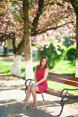 Beautiful girl posing to the photographer against the background of blooming pink trees. Spring. Sakura.