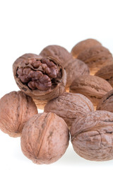 Walnut on a white background. Isolated. Dried nuts. Close up.
