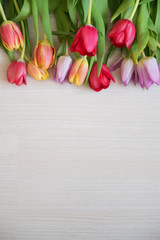 tulips on light wood background