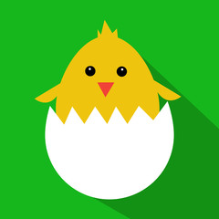 Cute yellow cartoon baby chicken