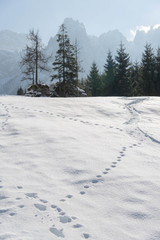 Fototapeta na wymiar Footprints and tracks in the snow