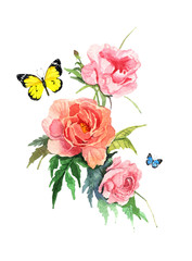 watercolor illustration of flower pink peony on white background