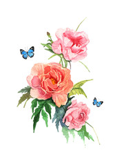 watercolor illustration of flower pink peony on white background
