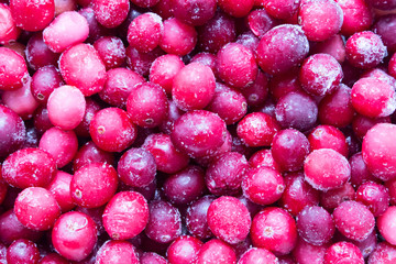 Frozen cranberry (mooseberry, bog-berry)  close up