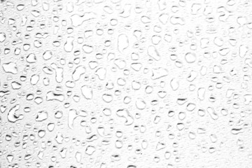 abstract water drops on a white background