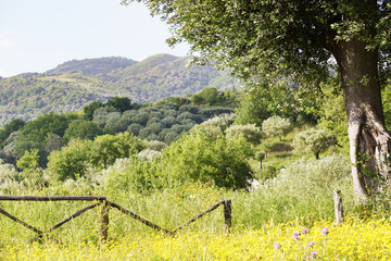 Blick in die Region des Nationalparkes  Cilento von Policastro Bussentino aus.